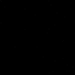 Meet your Posher, Rodrigo